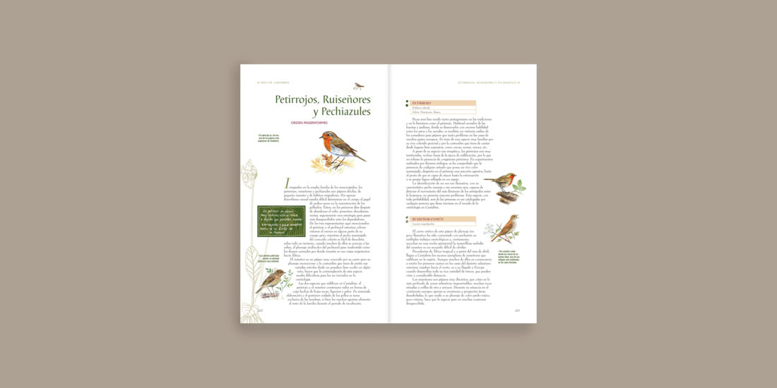Libro Aves de Cantabria, Guía ilustrada